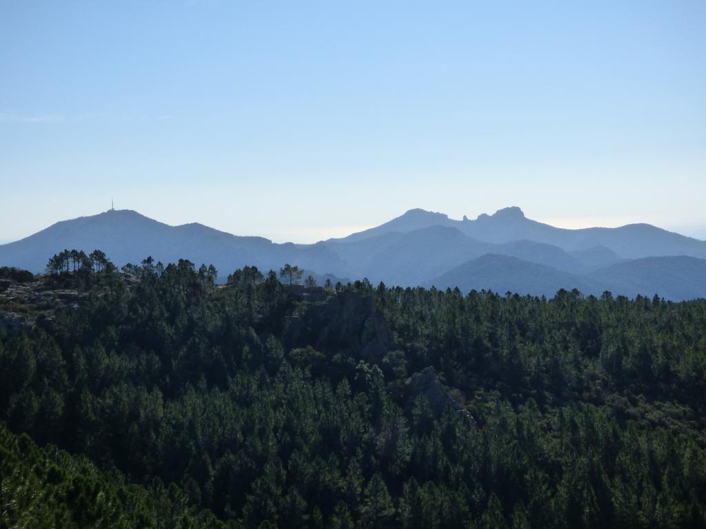 Chambres D'Hotes Vue Mer L'Esterel Panoramique Saint-Jean-de-l'Esterel Экстерьер фото